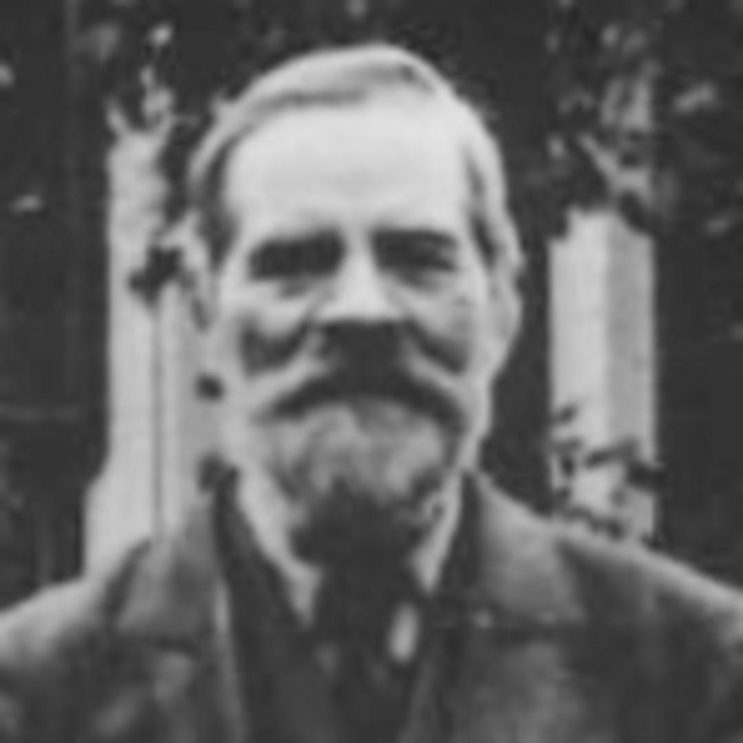 Elias Erickson (1835 - 1924) Profile